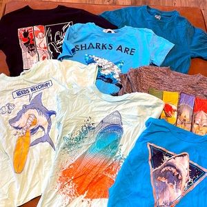 Bundle of 7 boy t-shirts